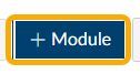 Button labeled "+ Module" in blue and yellow.