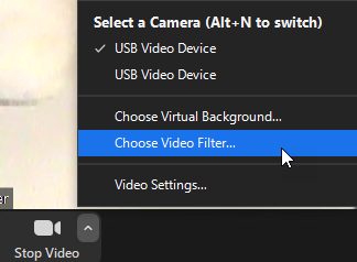 Camera selection menu in video software.